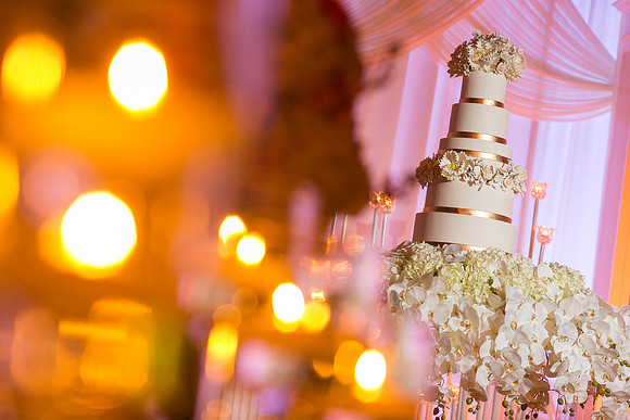 Best Biltmore Atlanta Wedding Photographer