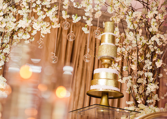 South Asian Wedding Photographer